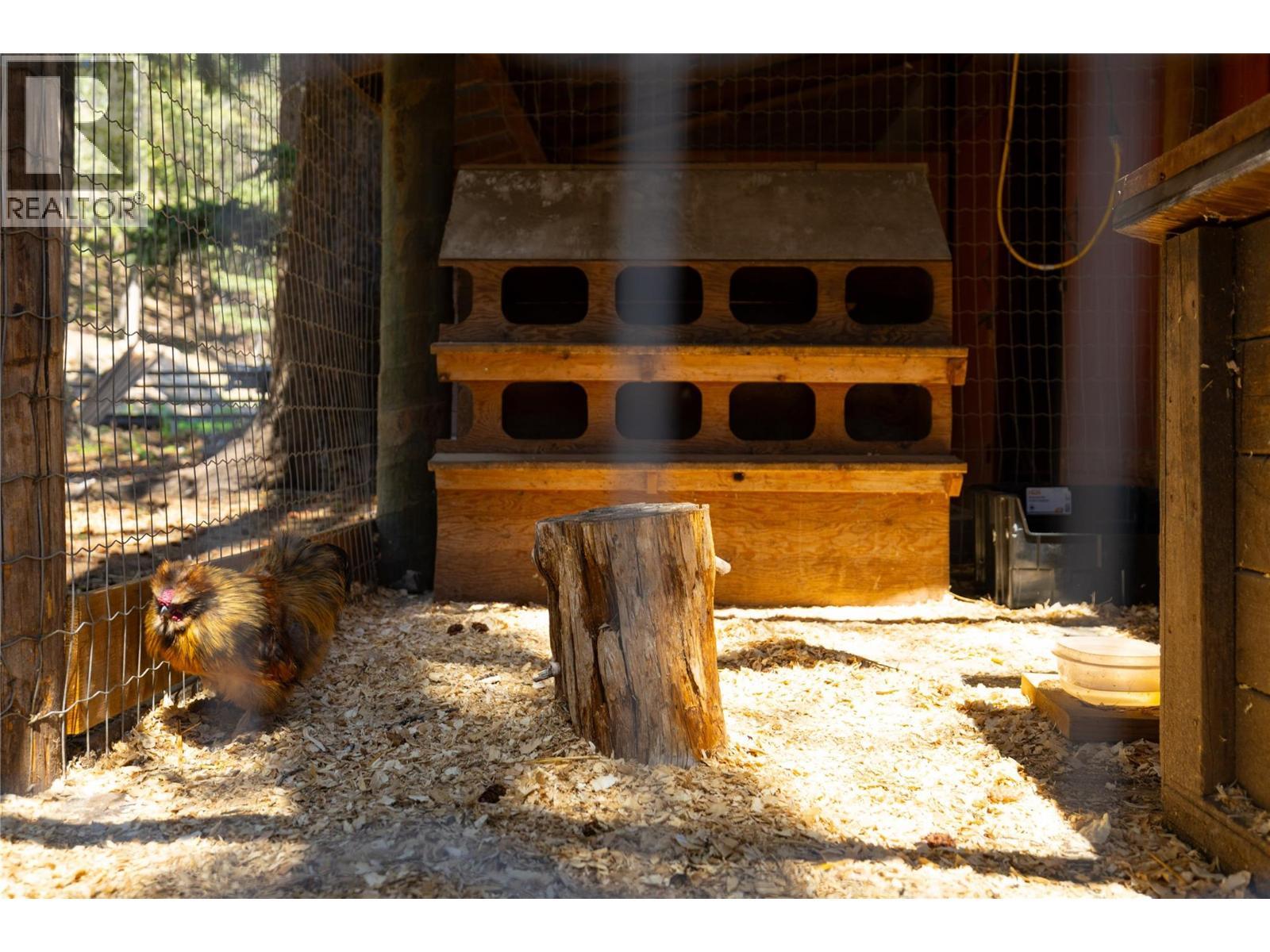 Chicken coop - 4644 97 Highway, Westwold, BC - Indoor