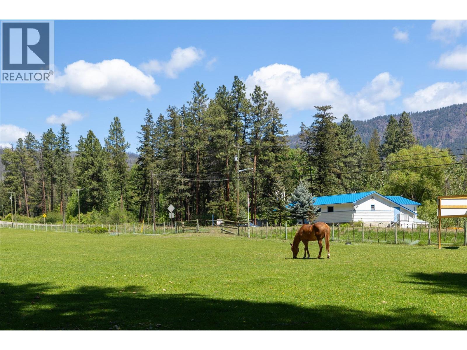 Field for happy horses - 4644 97 Highway, Westwold, BC - Outdoor With View