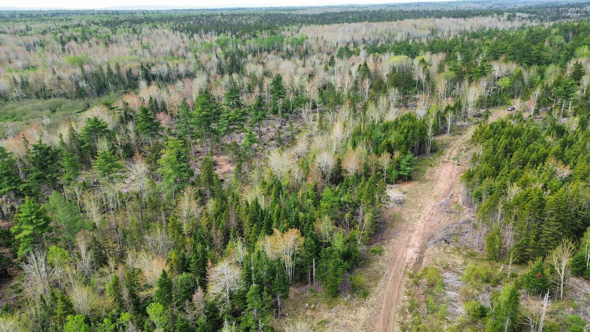 V/L 204 Highway, Streets Ridge, NS