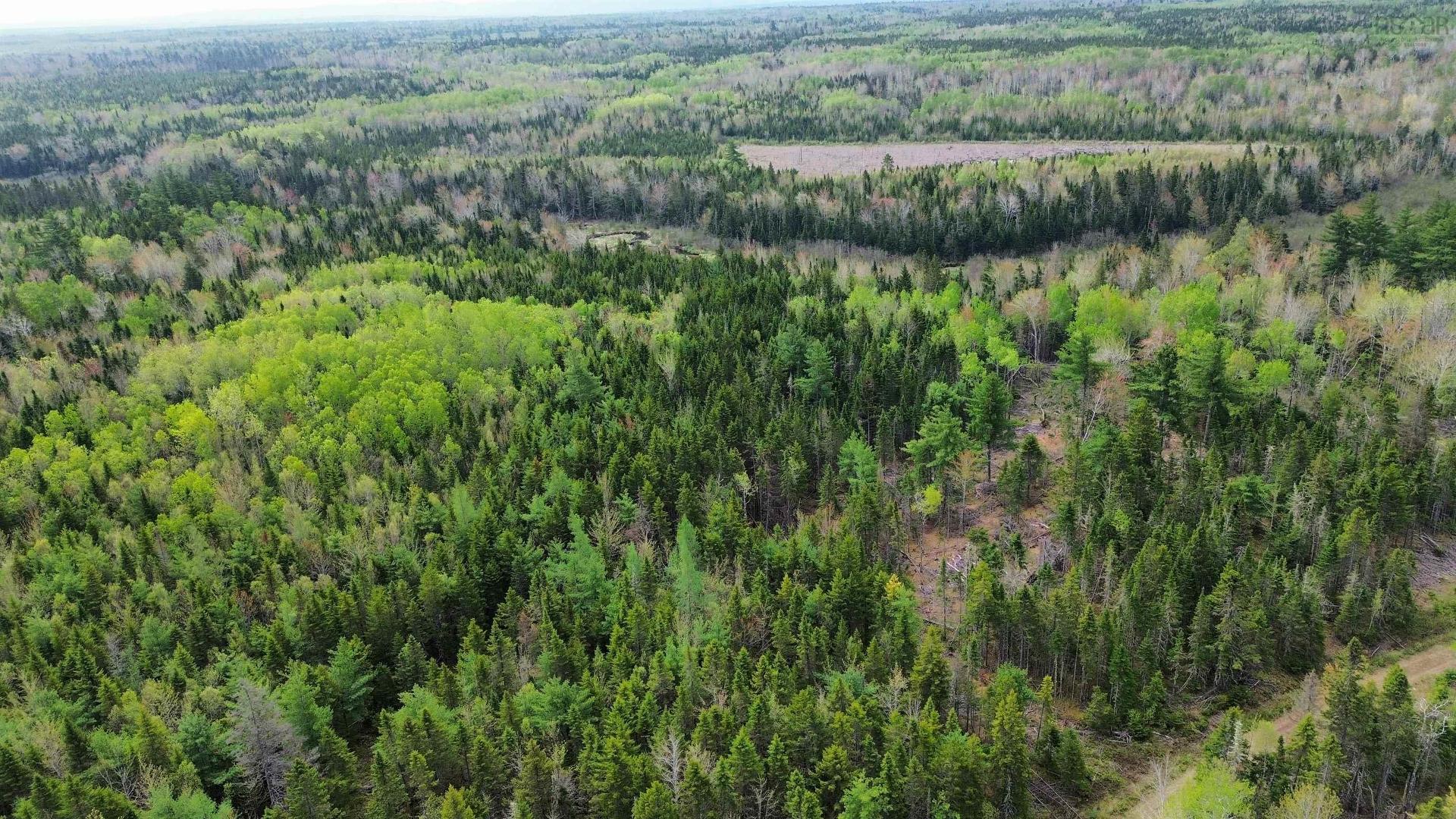 V/L 204 Highway, Streets Ridge, NS
