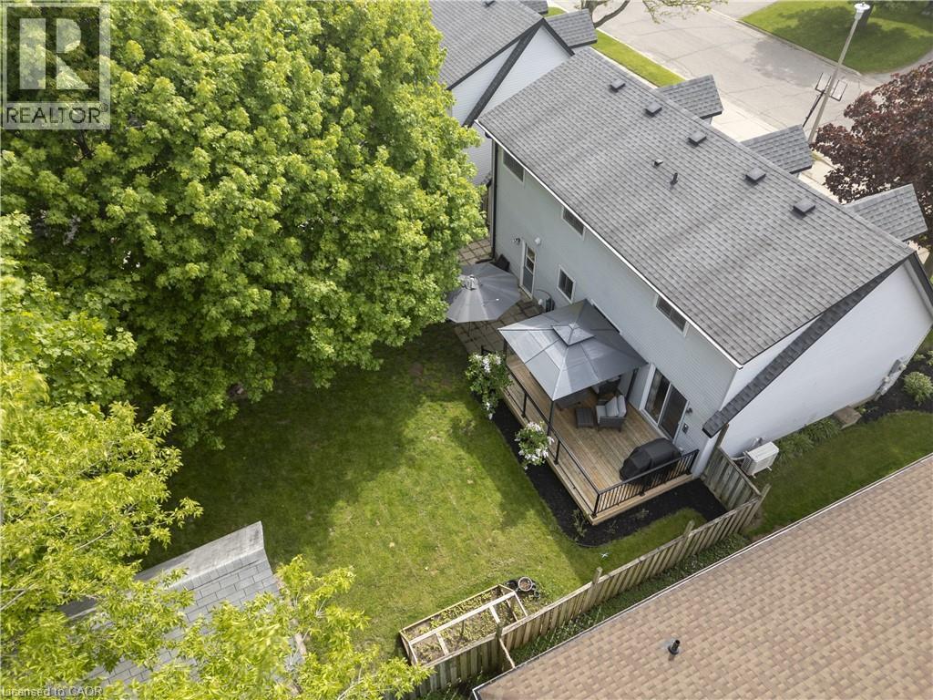 Expansive backyard featuring a manicured lawn, established landscaping, and mature trees - 26 Peachtree Crescent, Cambridge, ON - Outdoor