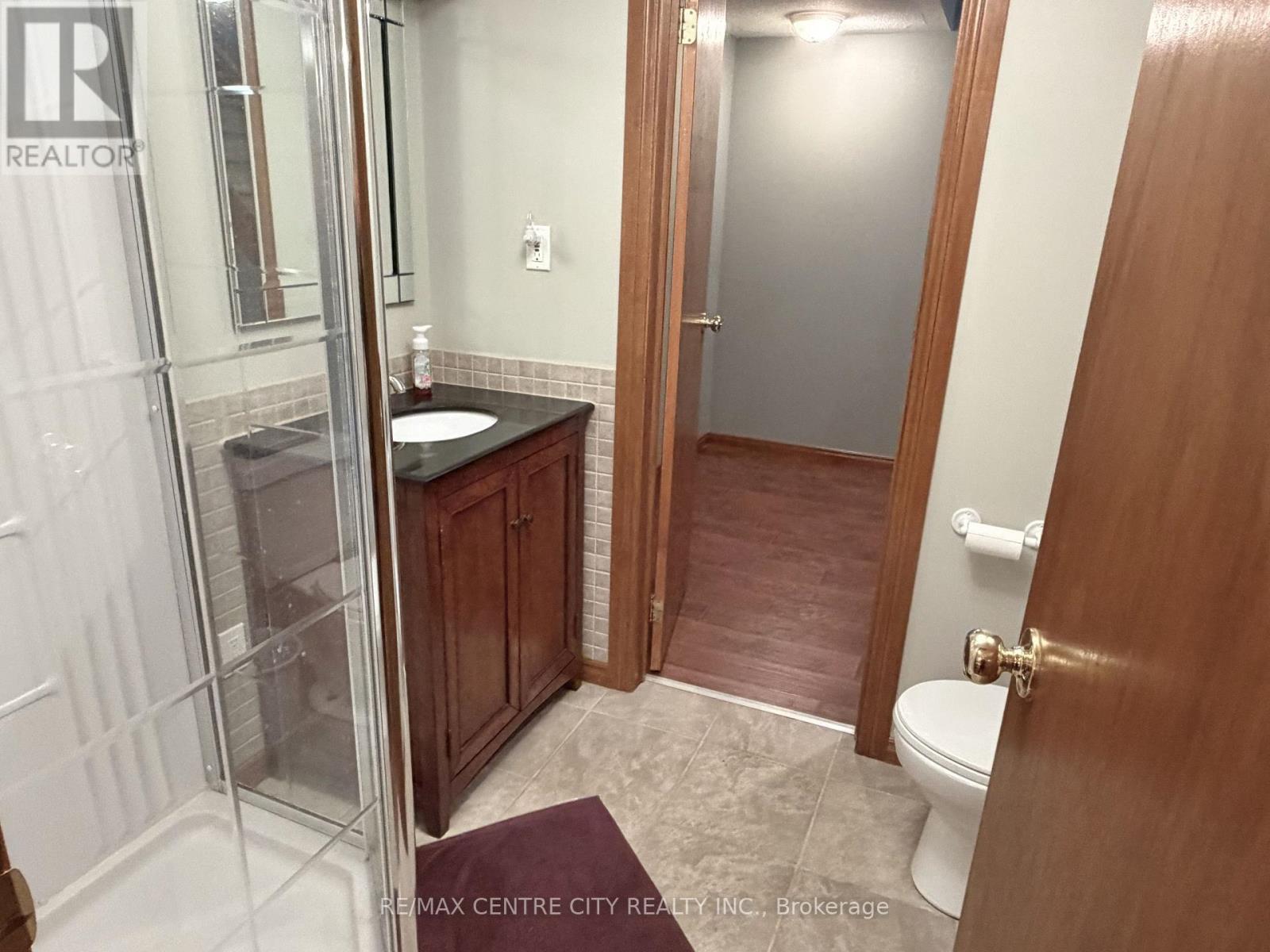 BASEMENT LEVEL 3-PC BATHROOM - 31 Cavanaugh Crescent, St. Thomas, ON - Indoor Photo Showing Bathroom