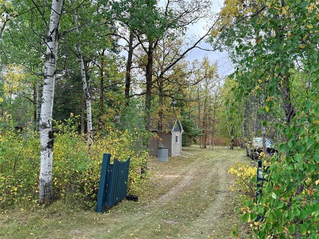 41056 Stead Rd, Gull Lake, MB