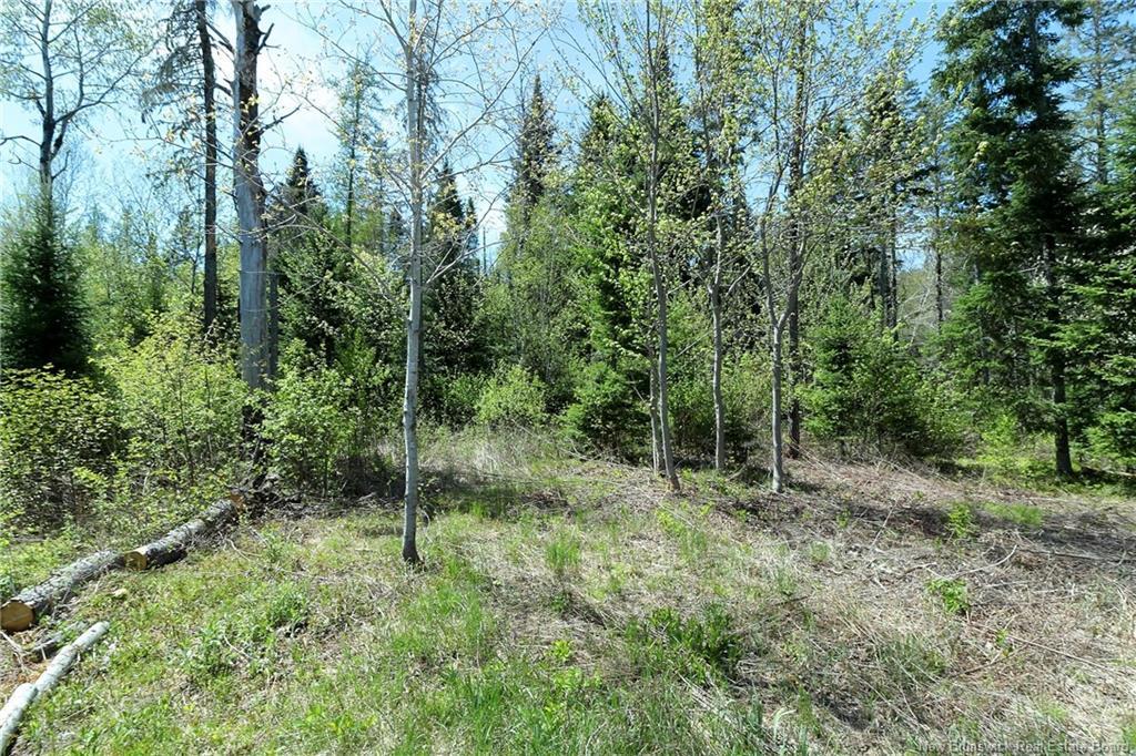 1539 Route 116, Chipman, NB