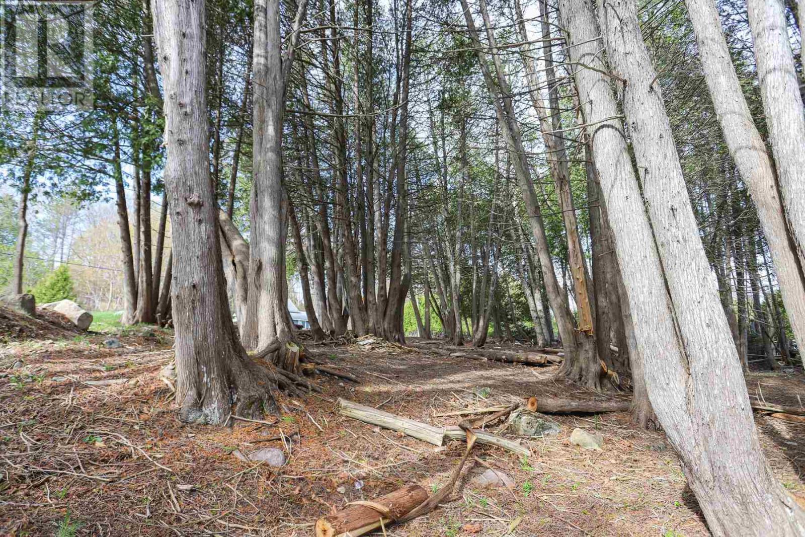 3191 Birch St, Hilton Beach, ON - Outdoor