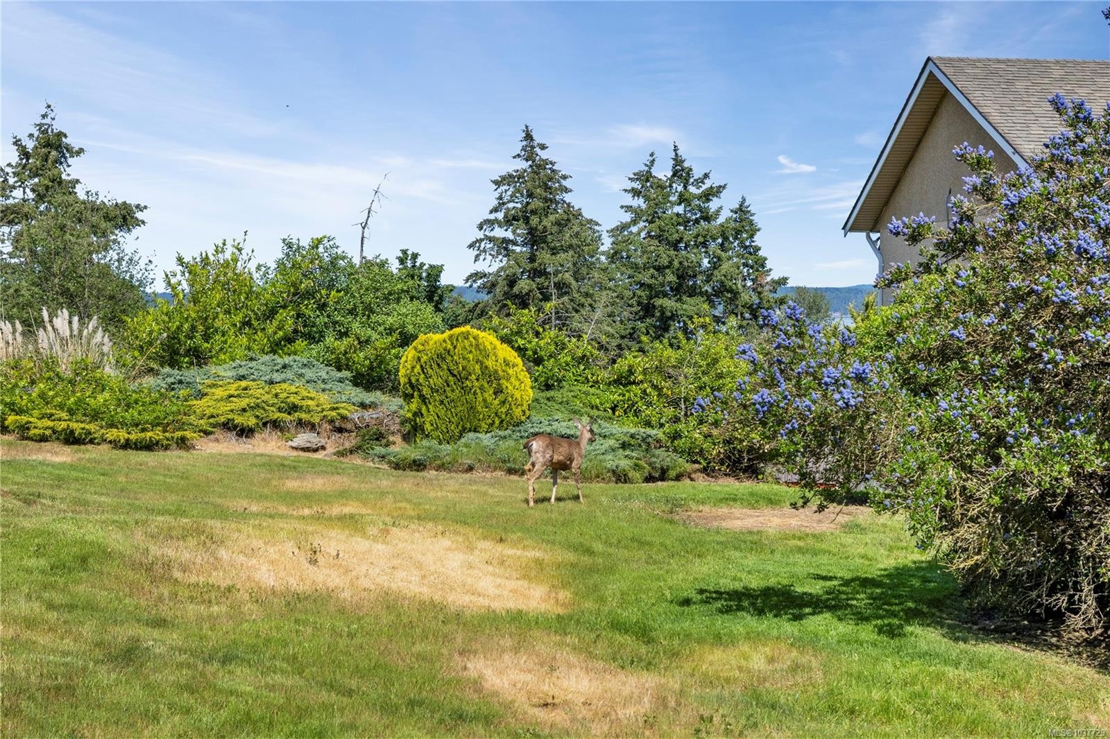 9921 Echo Hts, Chemainus, BC