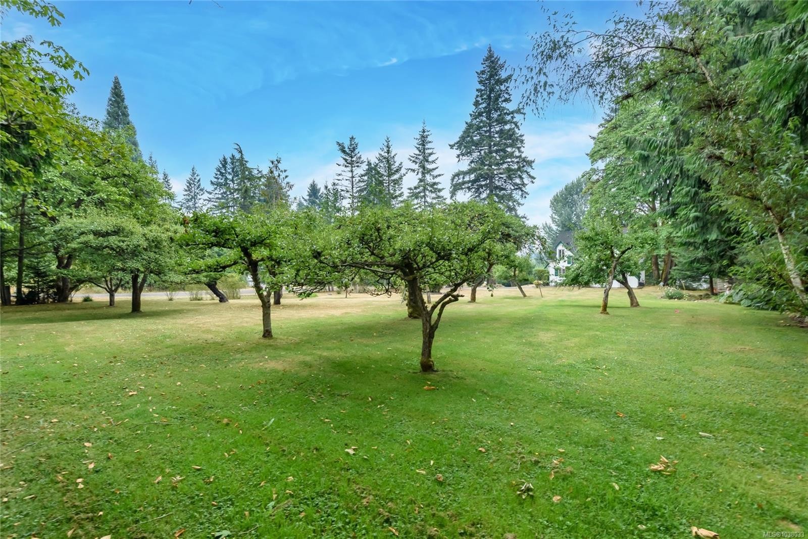2245 Schulz Rd, Black Creek, BC