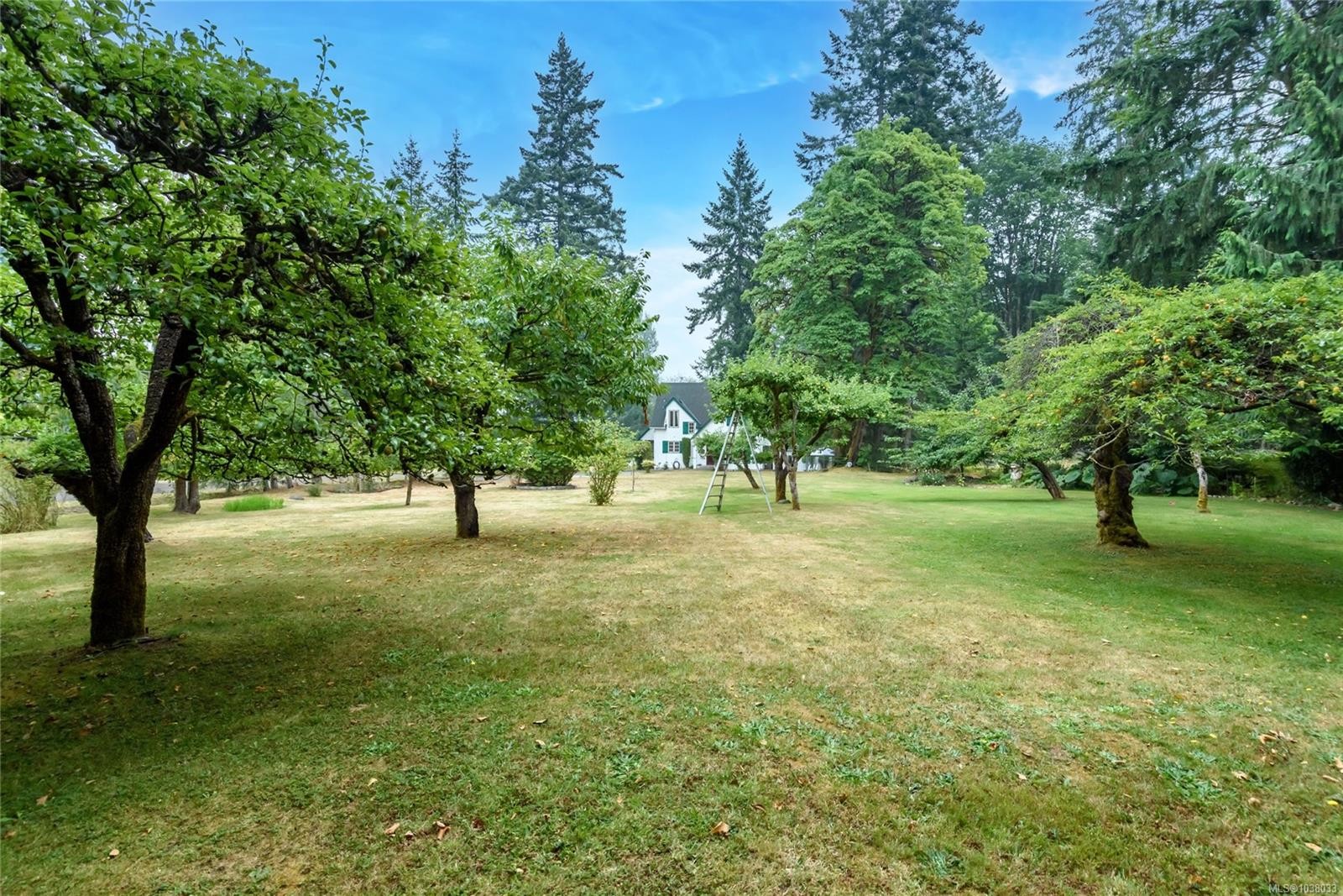 2245 Schulz Rd, Black Creek, BC