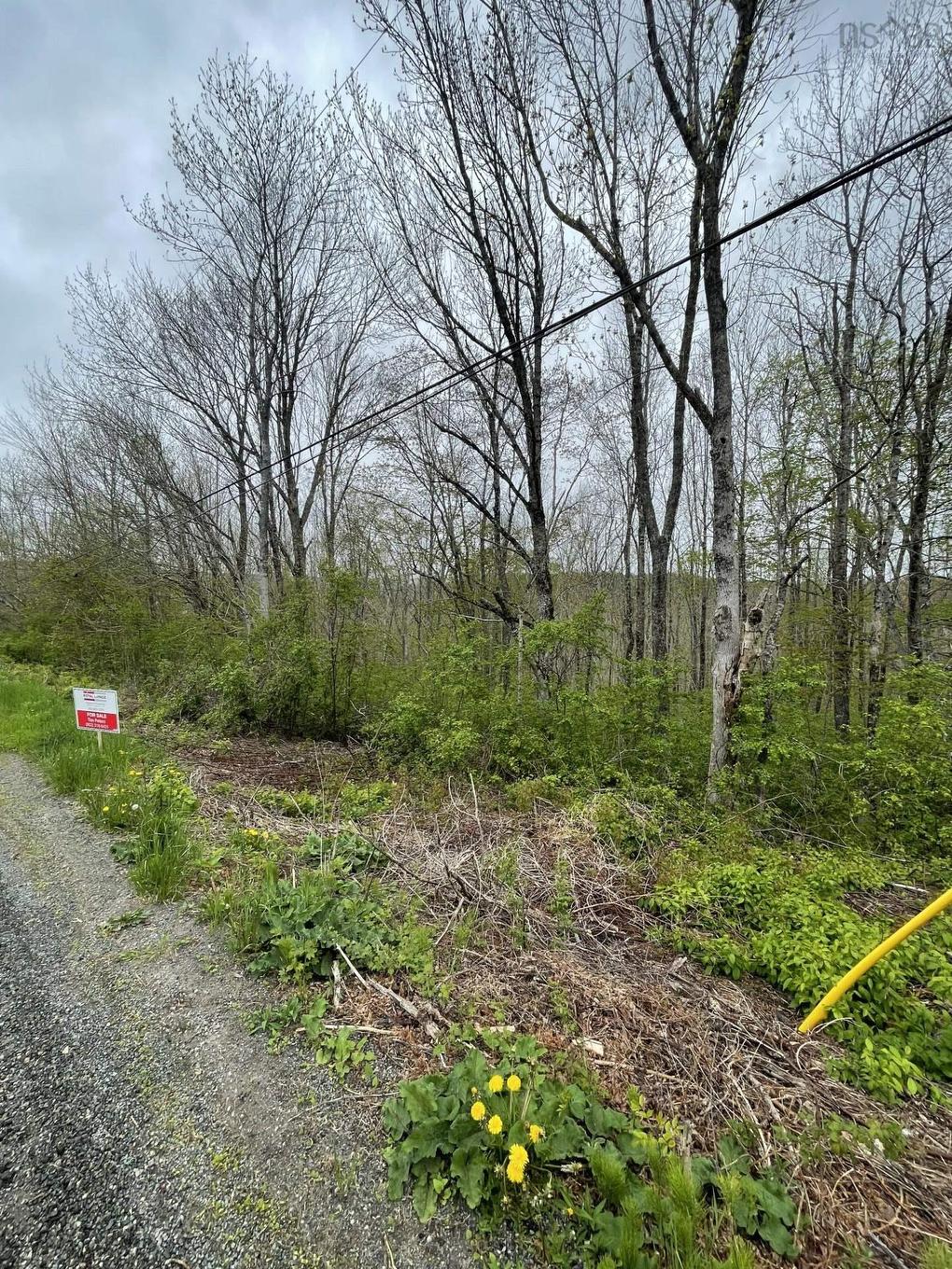 Acreage Brierly Brook Road, Antigonish, NS