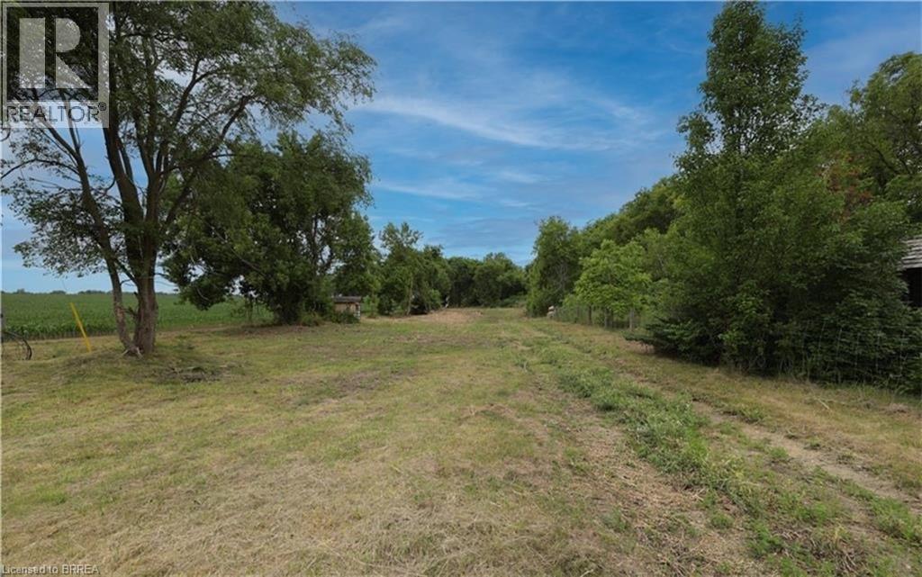 View of local wilderness featuring a rural view - 567 Burtch Road, Mount Pleasant, ON
