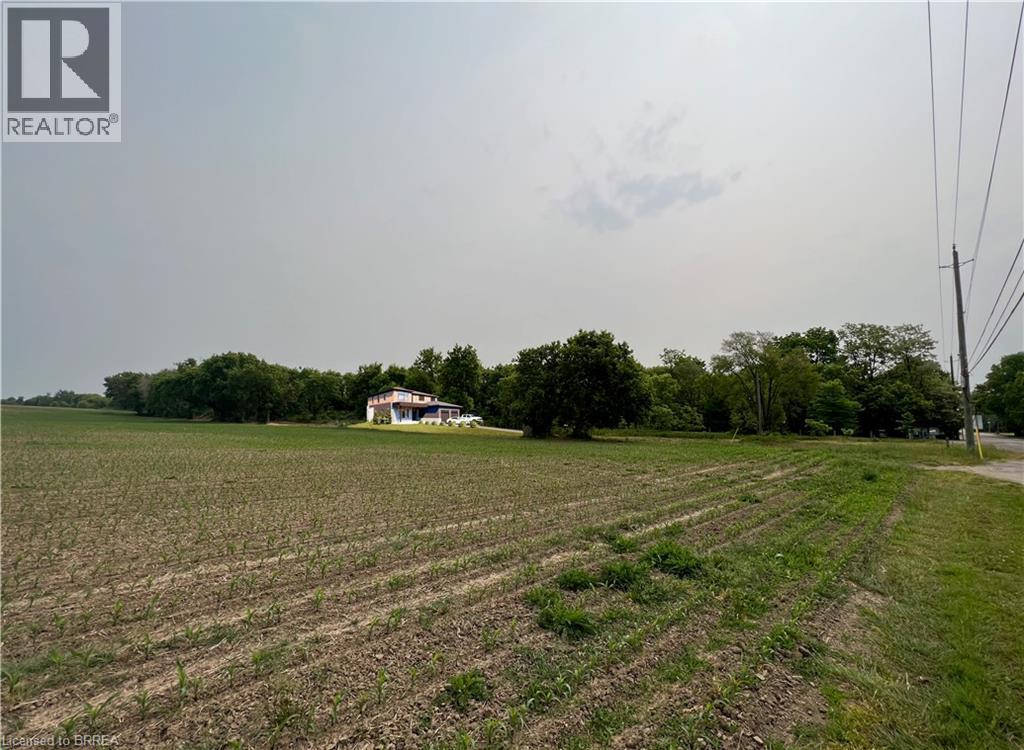 View of yard with a rural view - 567 Burtch Road, Mount Pleasant, ON