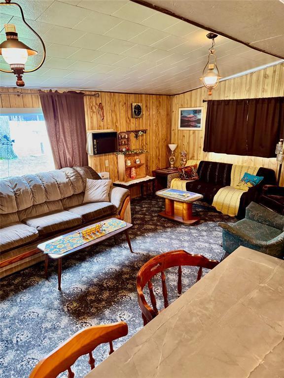 307 Elm Drive, Oak Lake Beach, MB - Indoor Photo Showing Living Room