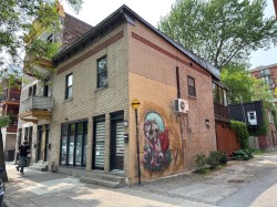 917Z - 919Z Av. Duluth E. Montréal (Le Plateau-Mont-Royal), QC H2L 1B7