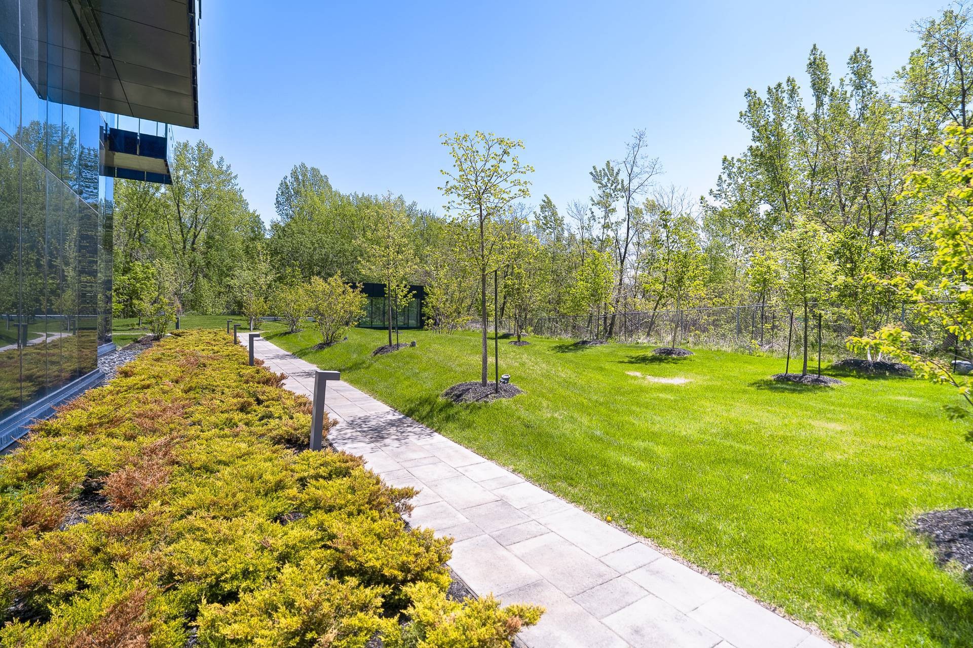 Garden - 1005-1000 Rue André-Prévost, Montréal (Verdun/Île-Des-Soeurs), QC - Outdoor