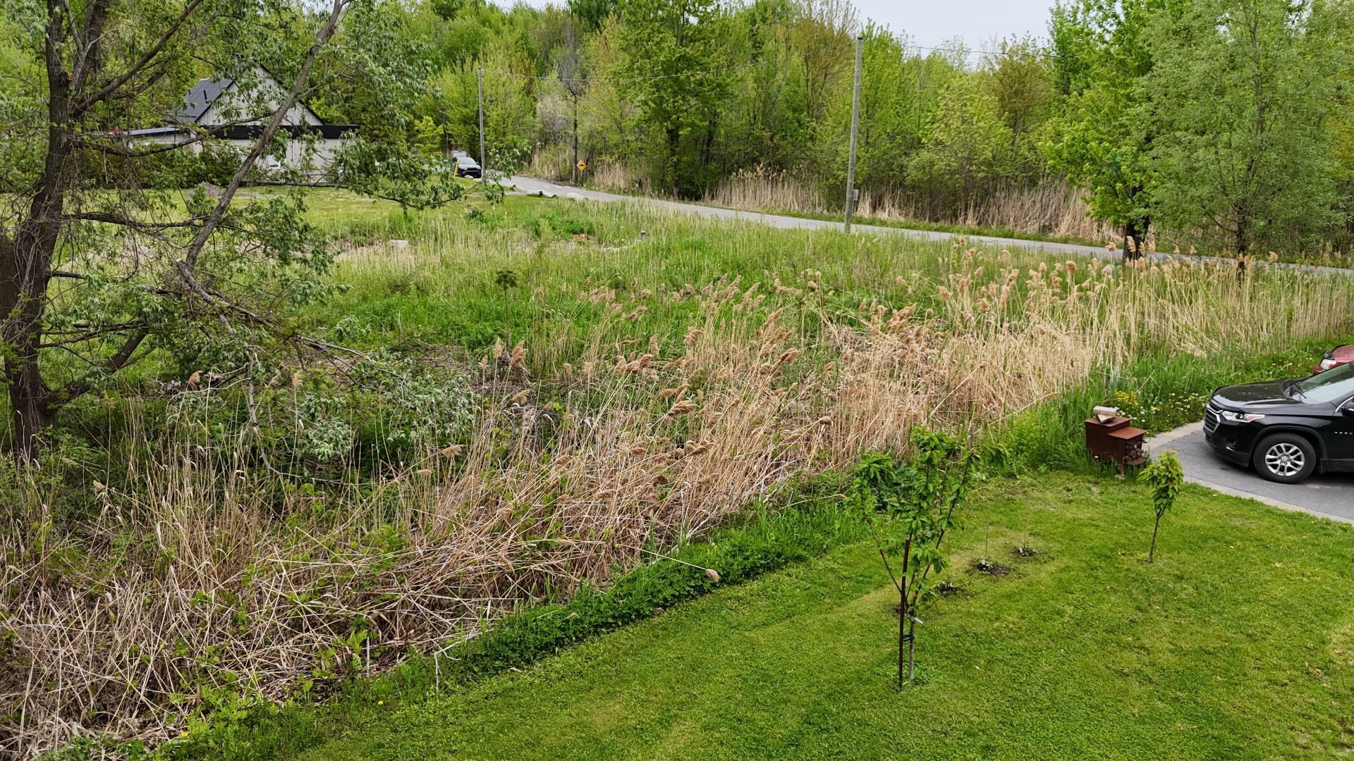 Terre/Terrain - 45E Avenue, Sainte-Barbe, QC
