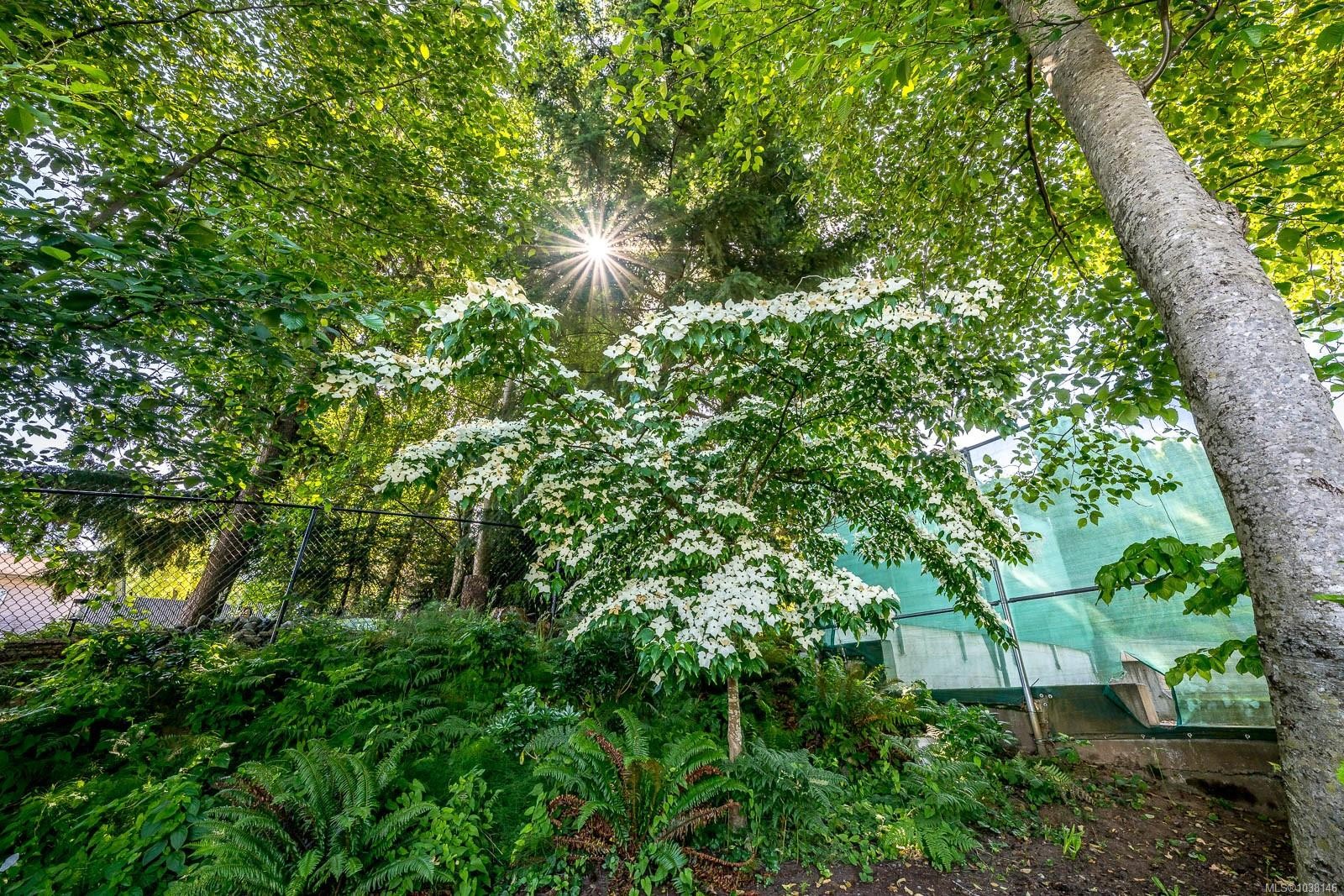 809 Willowcrest Rd, Campbell River, BC