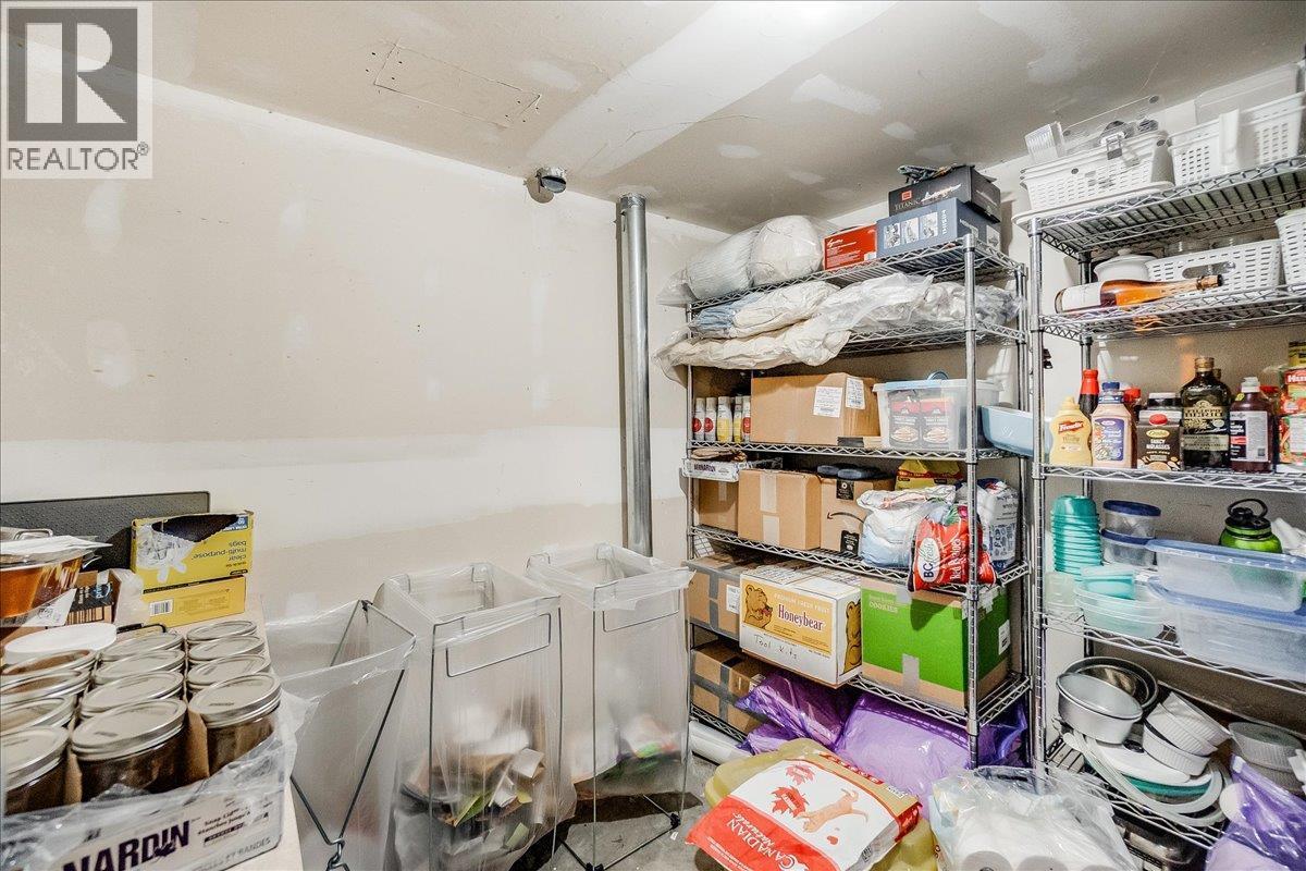 Main house basement cold room/storage - 3918 Passmore Upper Road, Passmore, BC - Indoor