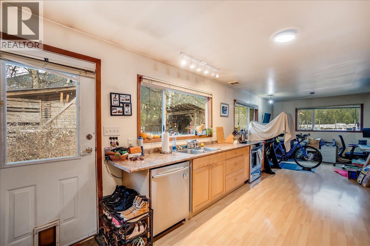 Second house kitchen - 3918 Passmore Upper Road, Passmore, BC - Indoor Photo Showing Kitchen With Double Sink