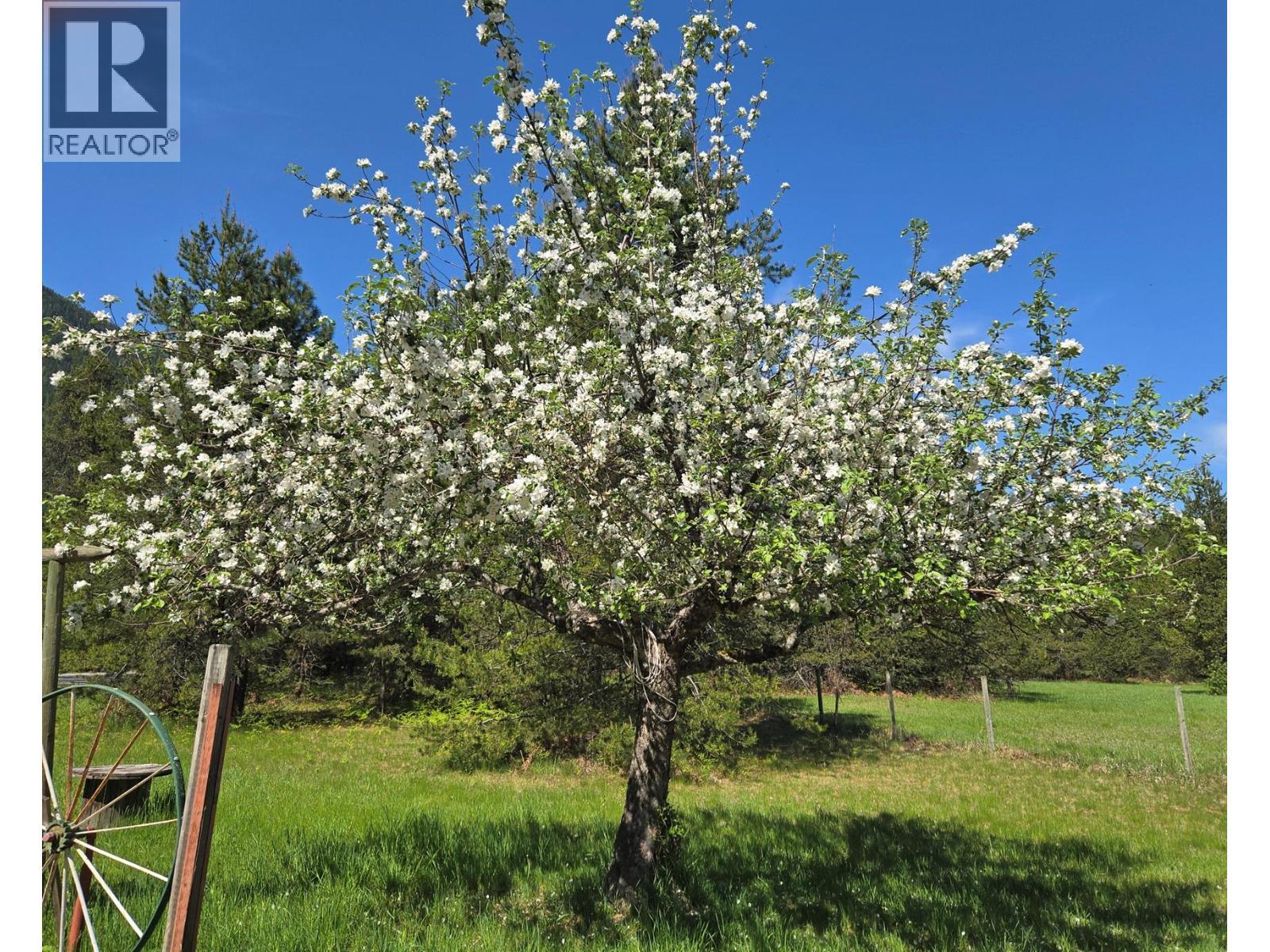 Apple tree at driveway - 3918 Passmore Upper Road, Passmore, BC - Outdoor With View