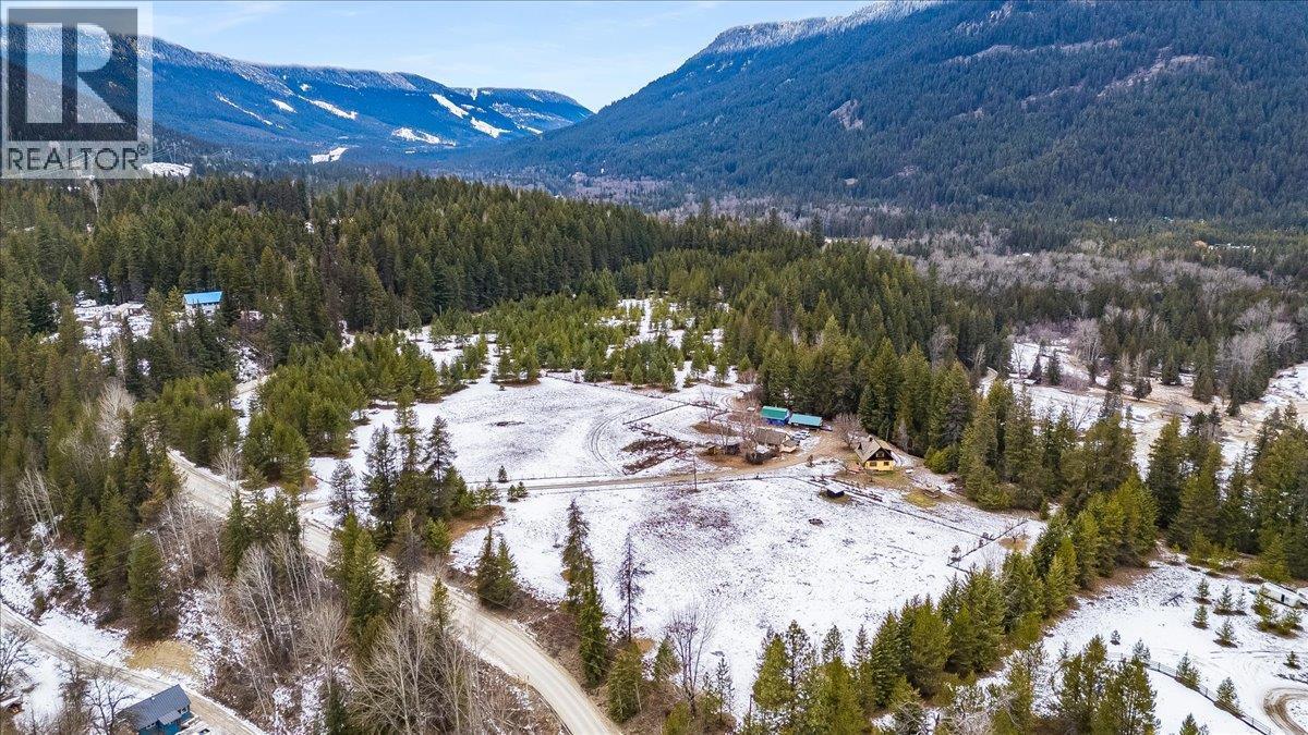 view - 3918 Passmore Upper Road, Passmore, BC - Outdoor With View