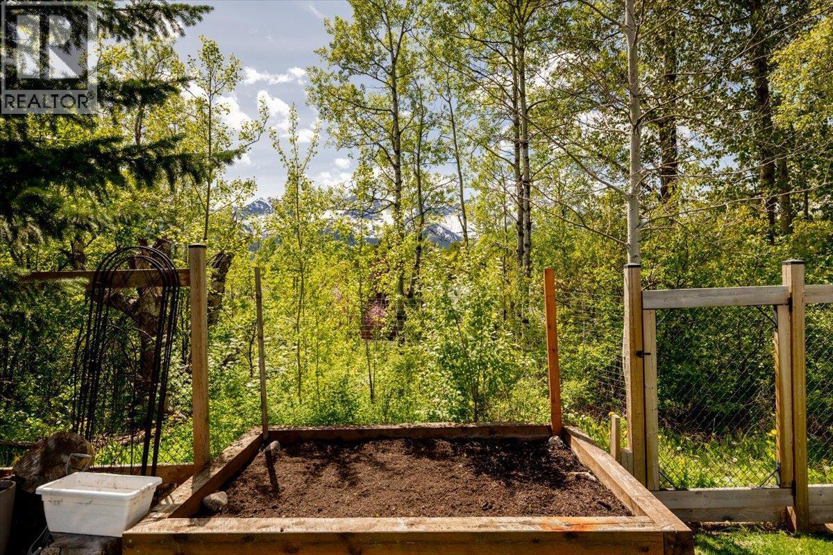 39 Elkview Drive, Fernie, BC - Outdoor