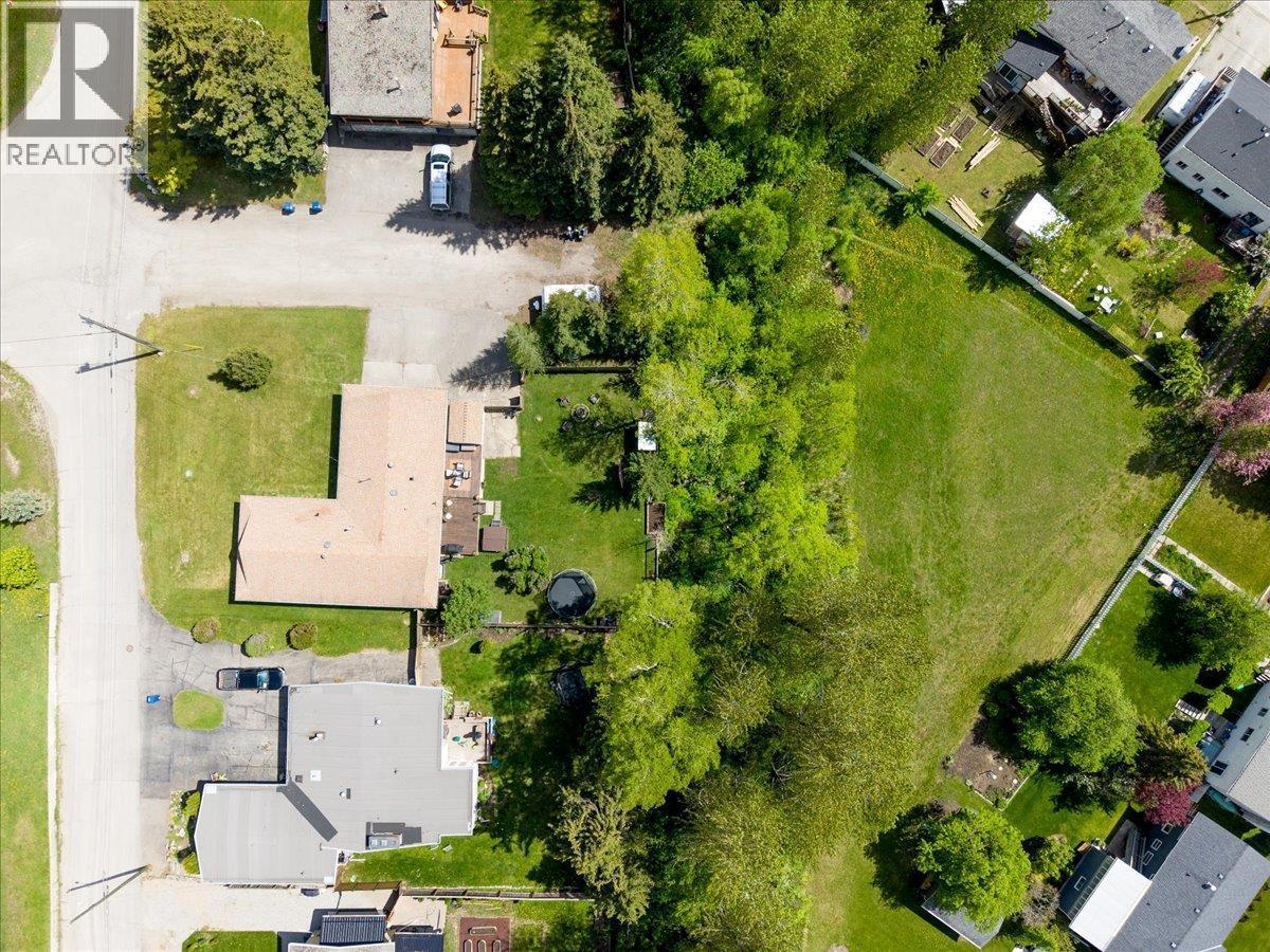 39 Elkview Drive, Fernie, BC - Outdoor With View
