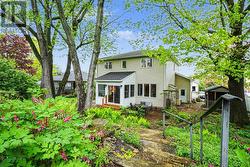 Backyard -