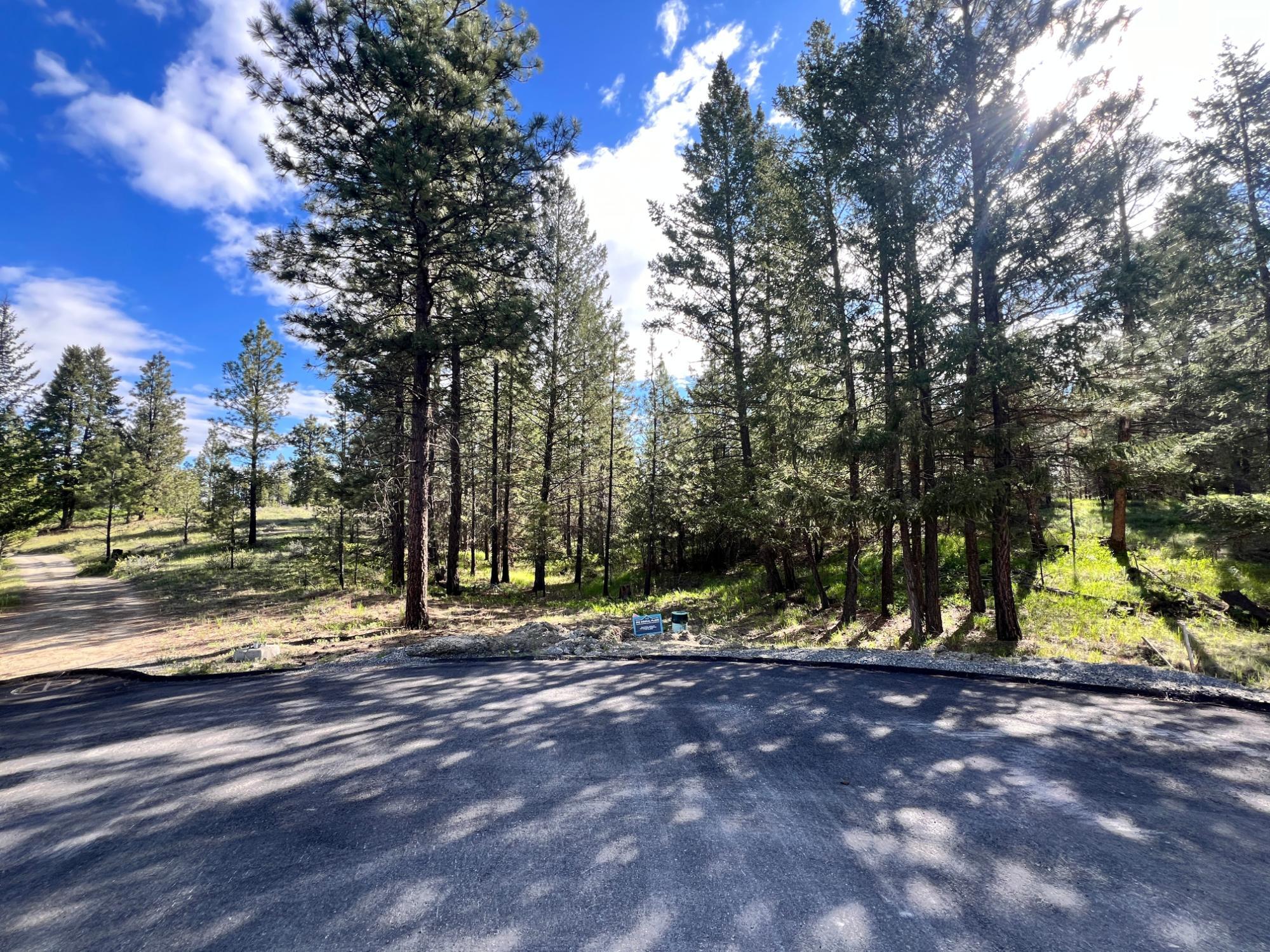 305 Corral Place, Cranbrook, BC - Outdoor With View