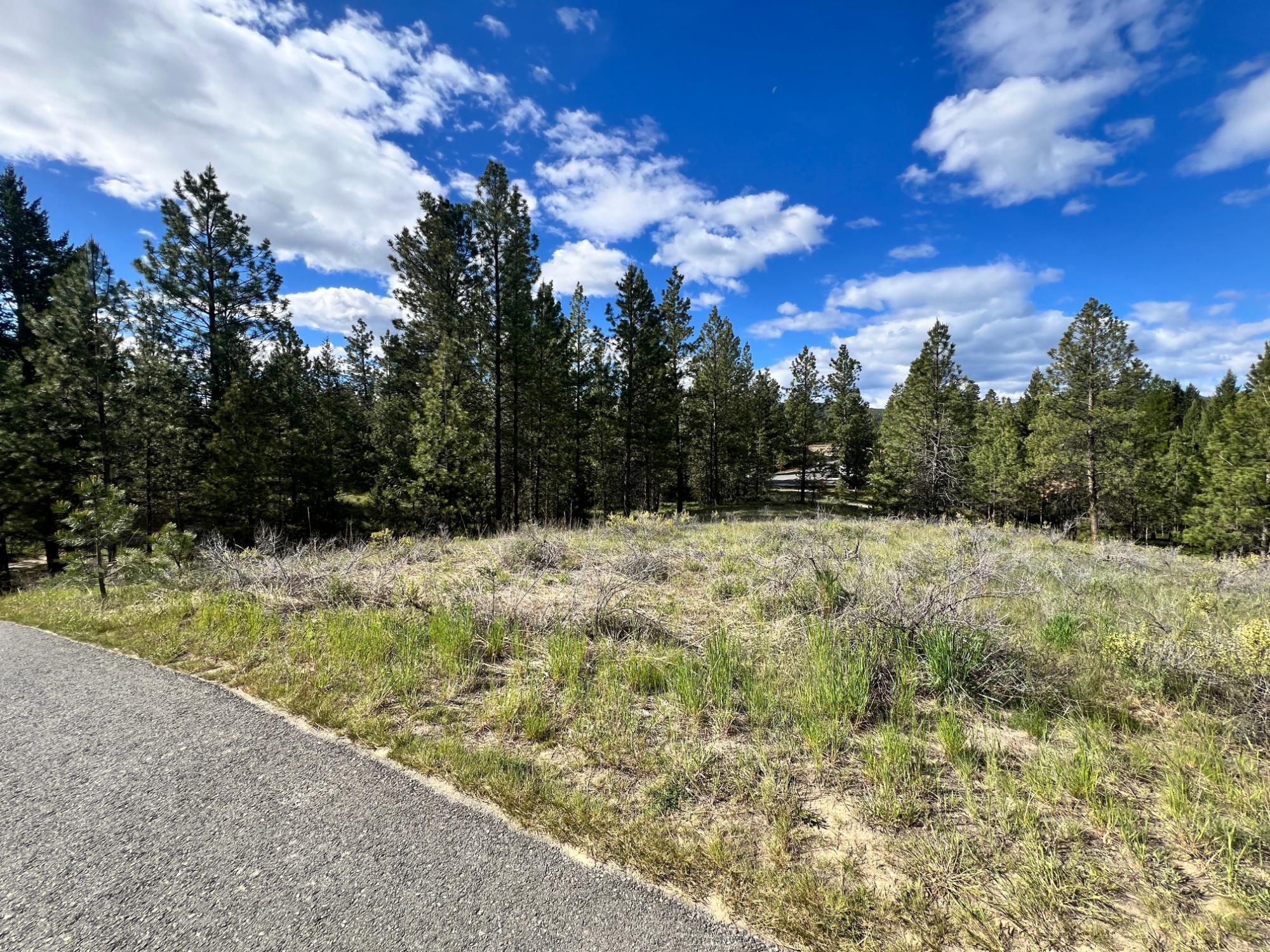 305 Corral Place, Cranbrook, BC - Outdoor With View