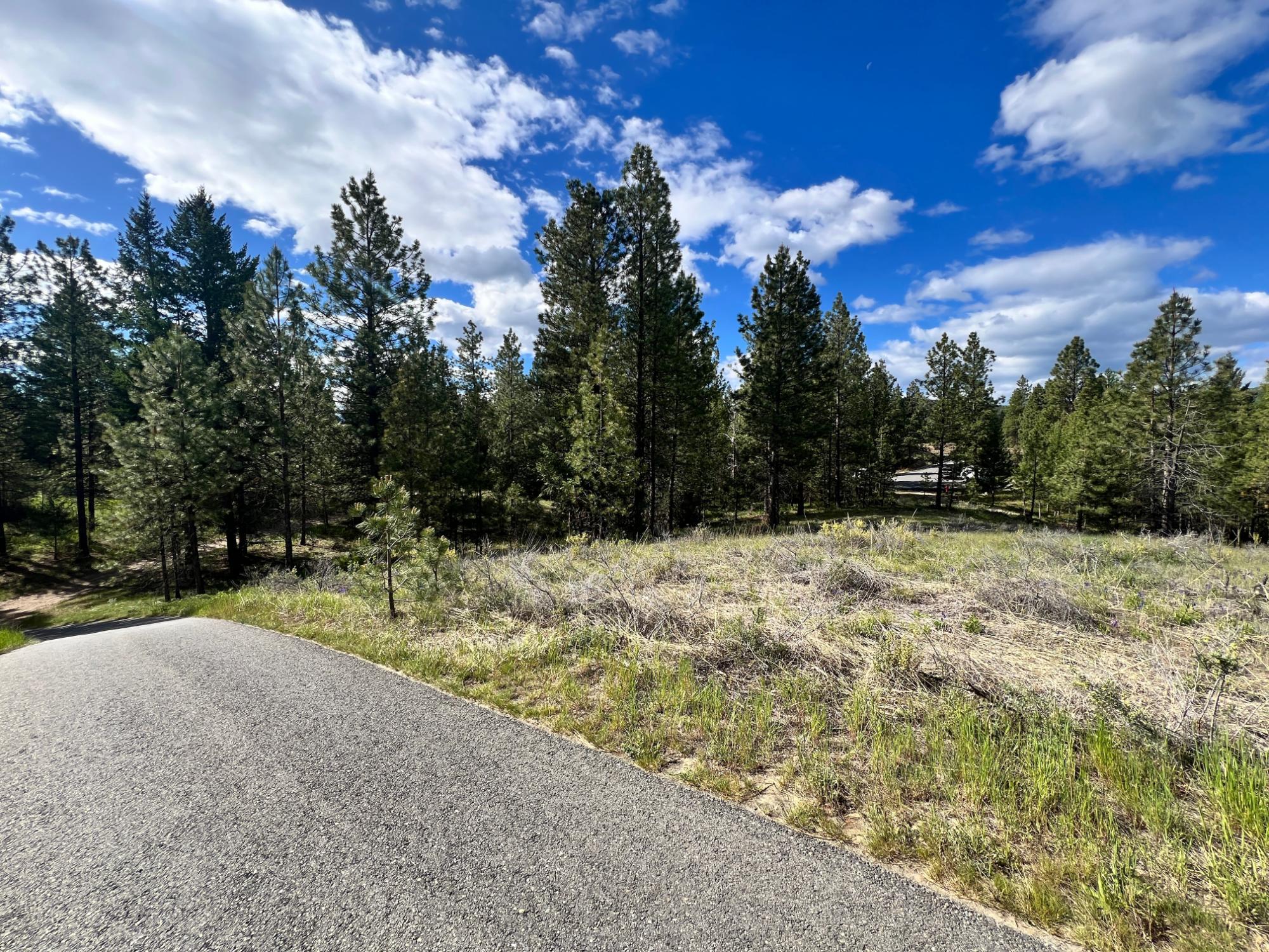 305 Corral Place, Cranbrook, BC - Outdoor With View