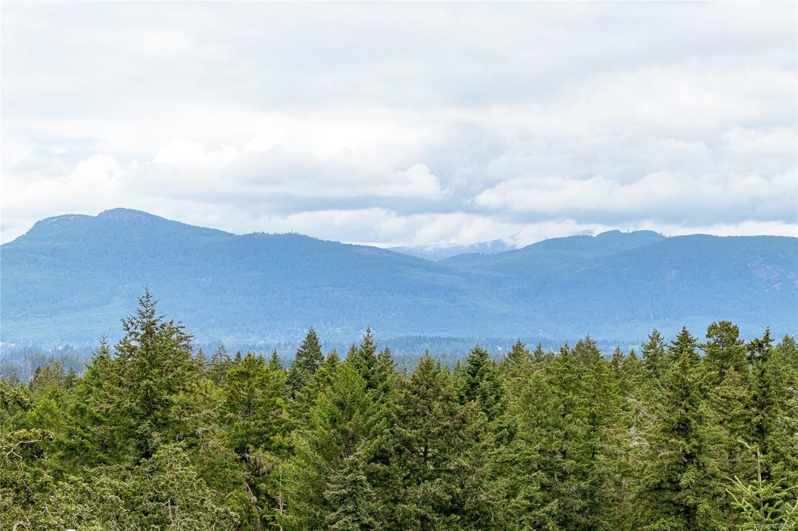 6191 Thomson Terr, Duncan, BC