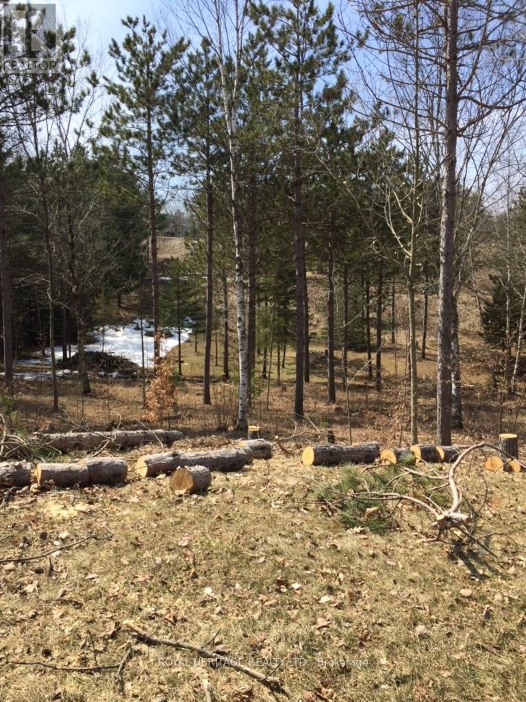 6677 Concession 2 Road, Uxbridge, ON