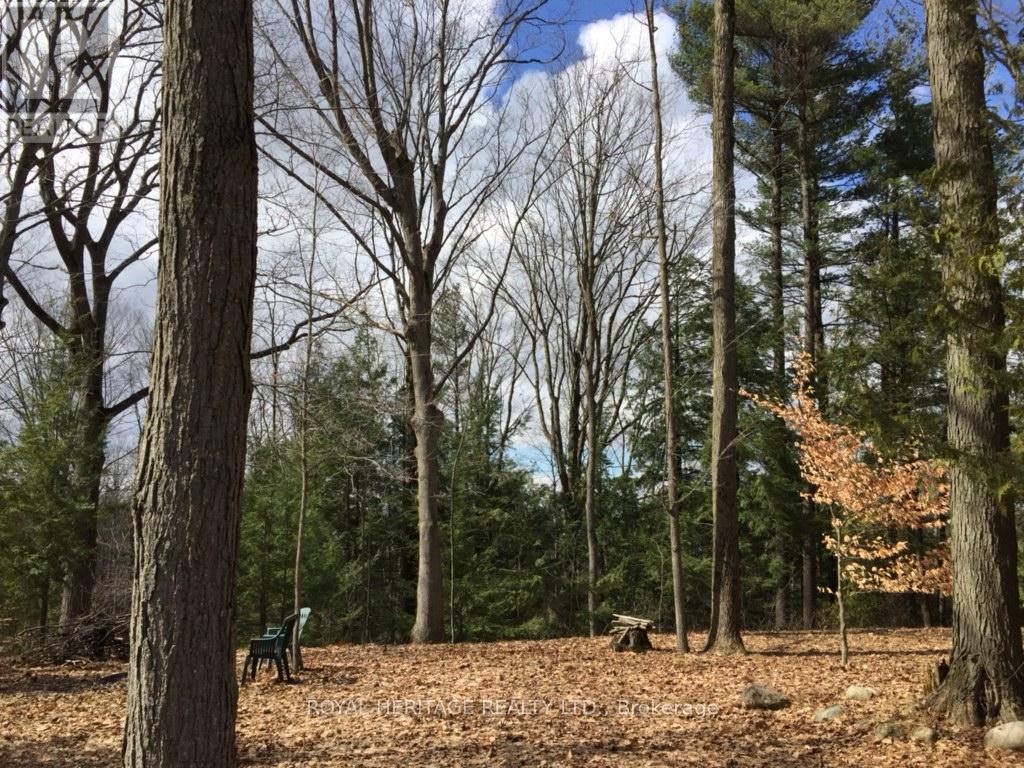 6677 Concession 2 Road, Uxbridge, ON