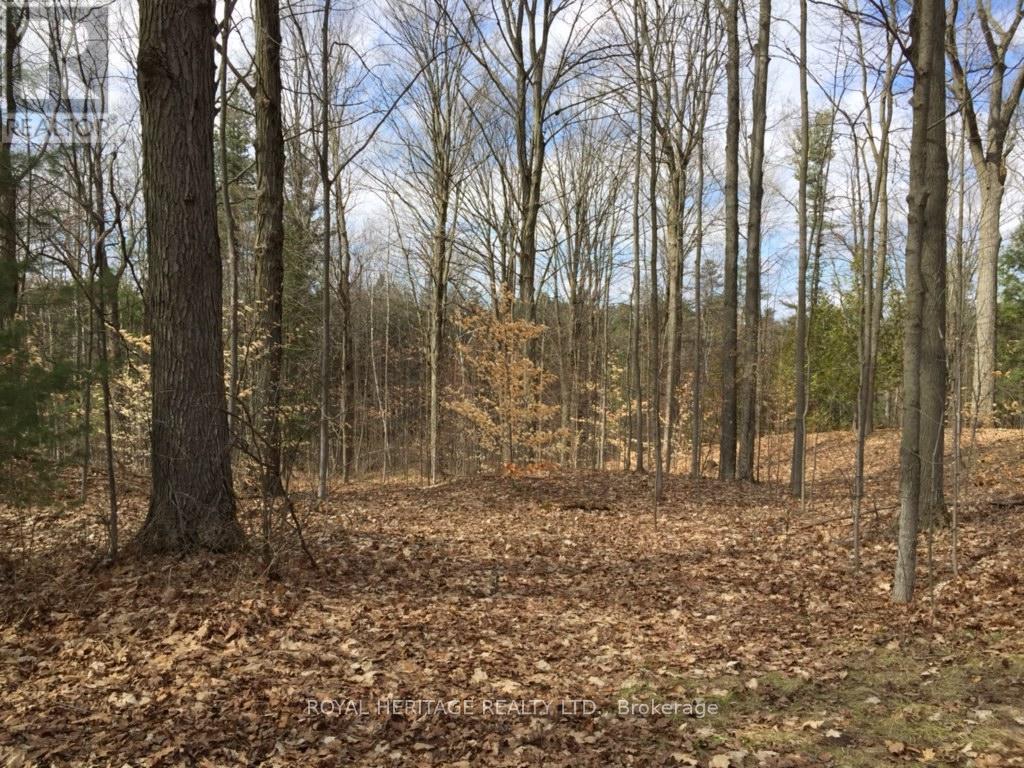 6677 Concession 2 Road, Uxbridge, ON