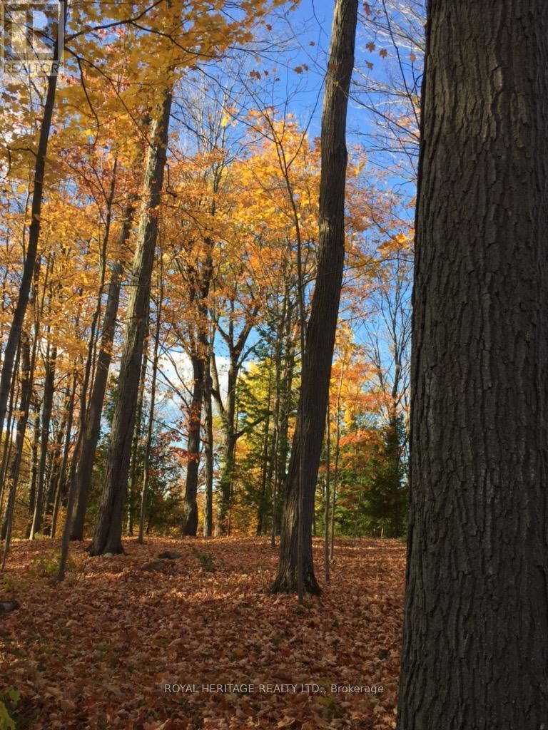 6677 Concession 2 Road, Uxbridge, ON