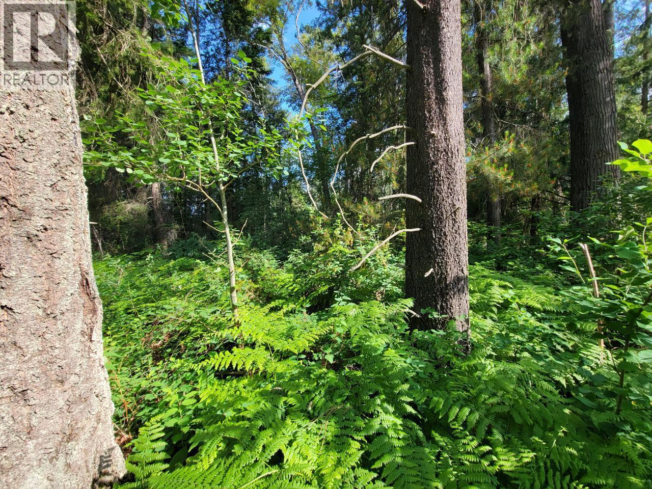 Lot 1 Passmore Old Road, Passmore, BC