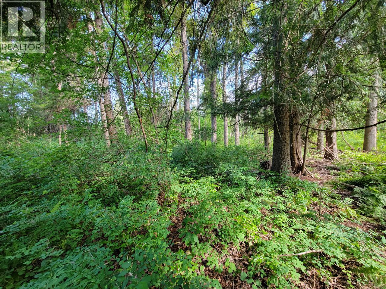 Lot 1 Passmore Old Road, Passmore, BC