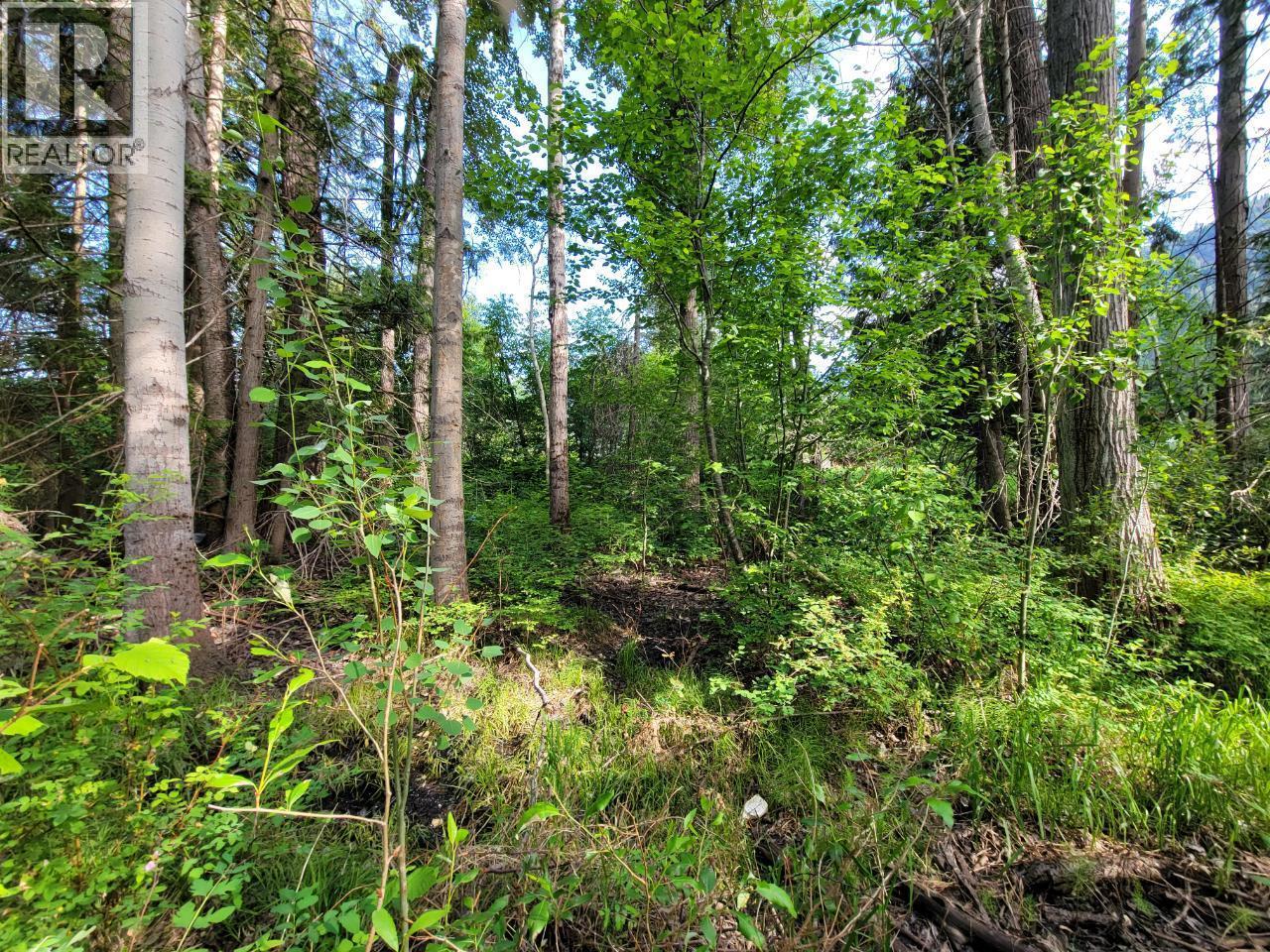 Lot 1 Passmore Old Road, Passmore, BC