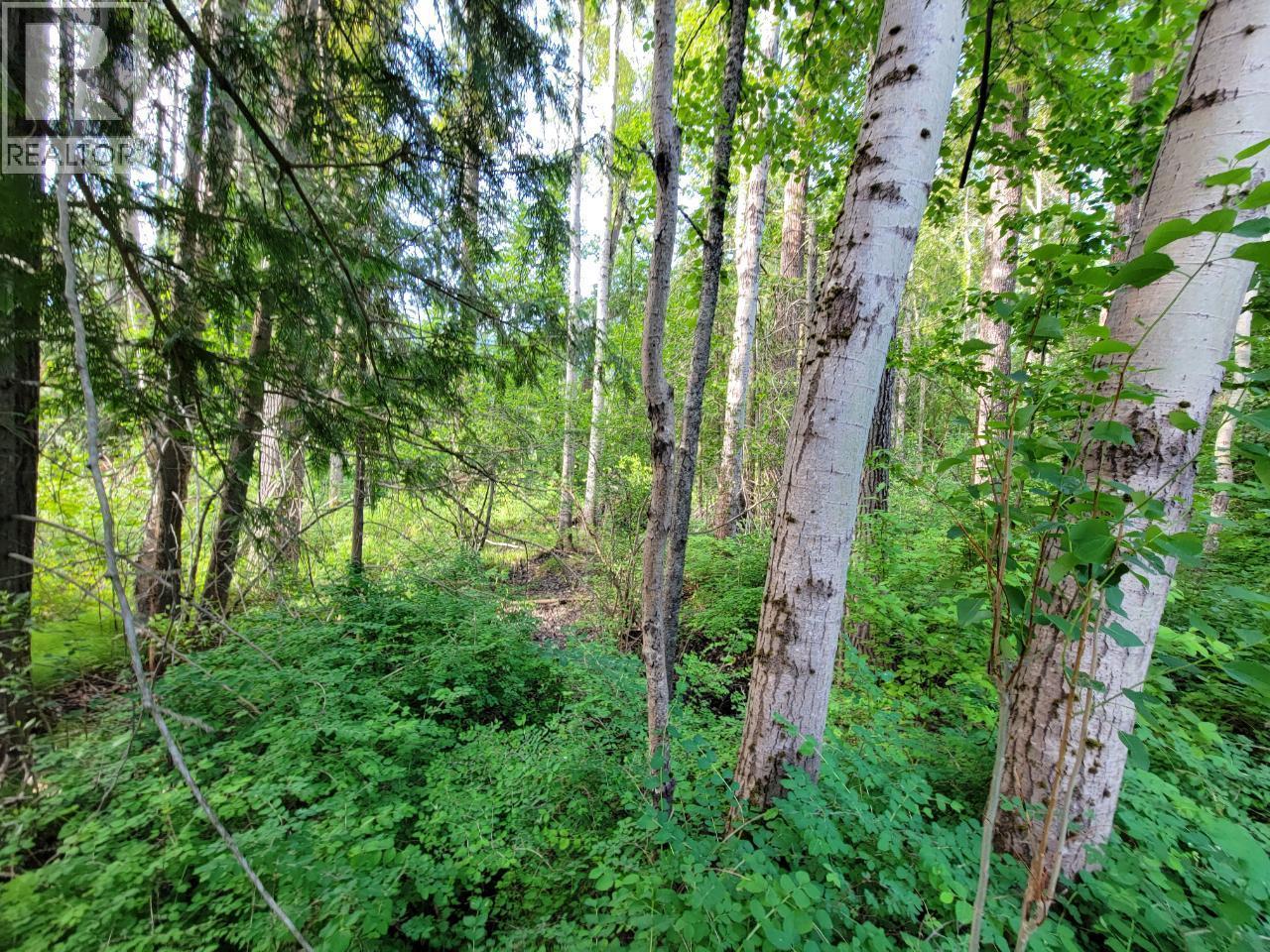 Lot 1 Passmore Old Road, Passmore, BC