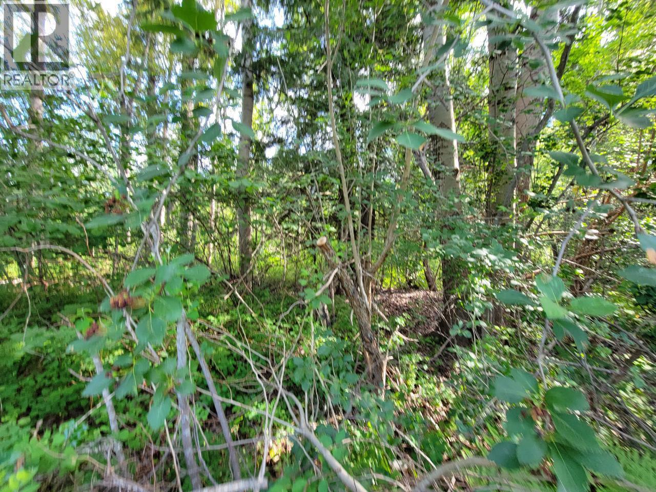 Lot 1 Passmore Old Road, Passmore, BC