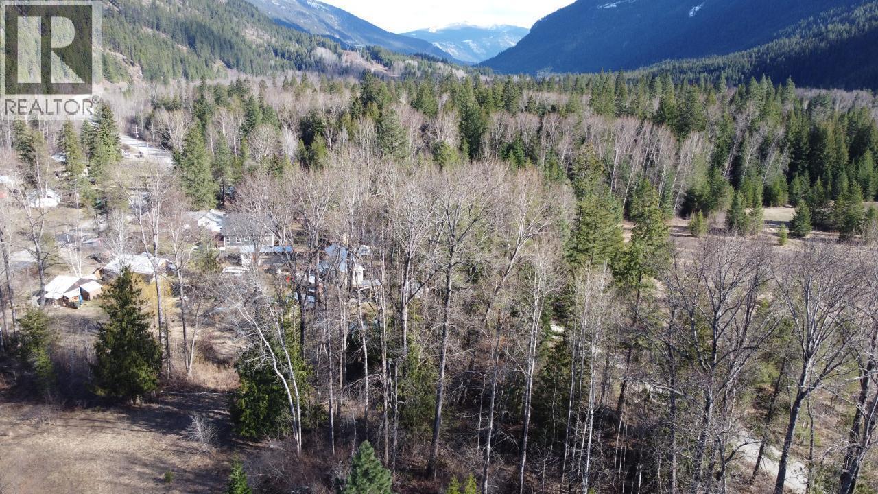 Lot 1 Passmore Old Road, Passmore, BC