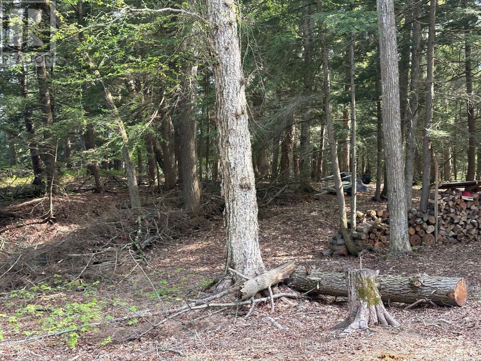 9 Sunnyshore Park Drive, Mckellar, ON