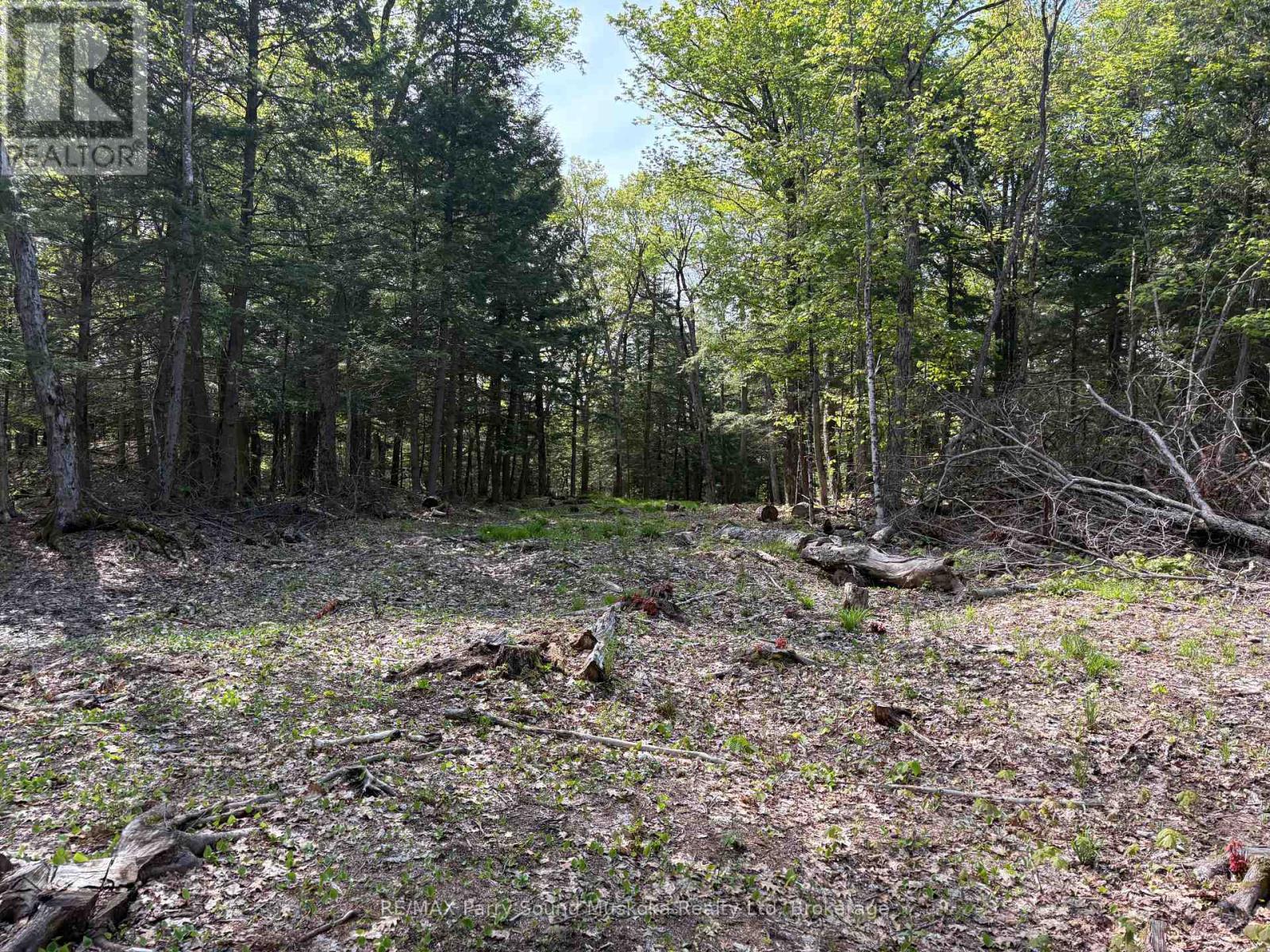 9 Sunnyshore Park Drive, Mckellar, ON