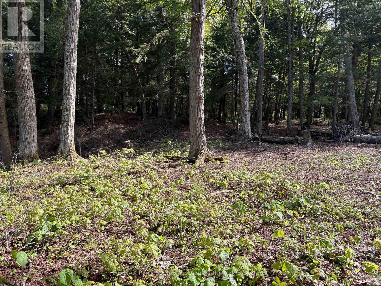 9 Sunnyshore Park Drive, Mckellar, ON