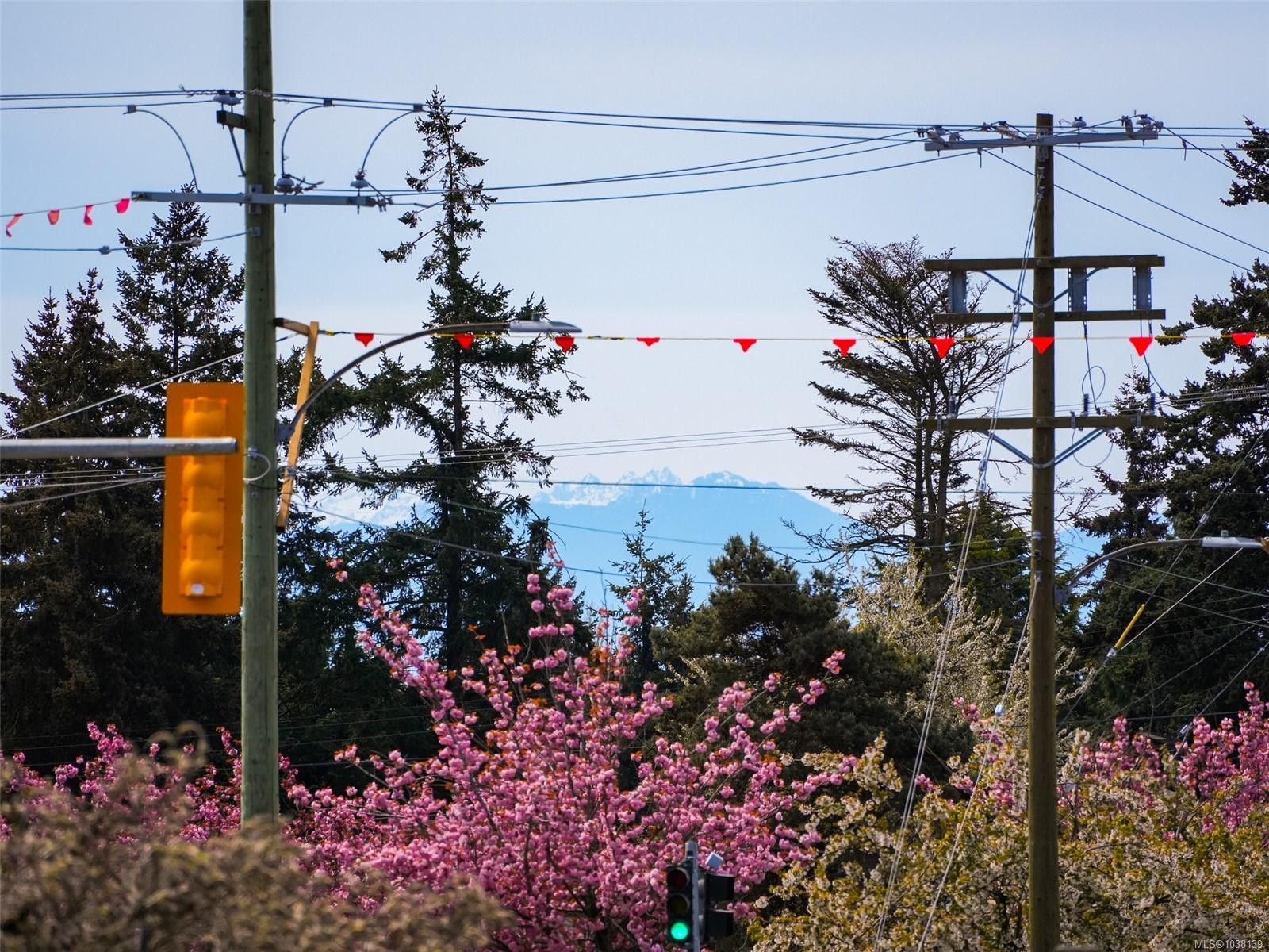 #5-3968 Cedar Hill Rd, Saanich, BC
