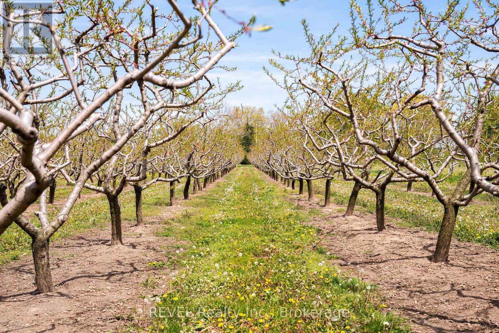 Beutifully manitained - 160 Read Road, St. Catharines (Port Weller), ON