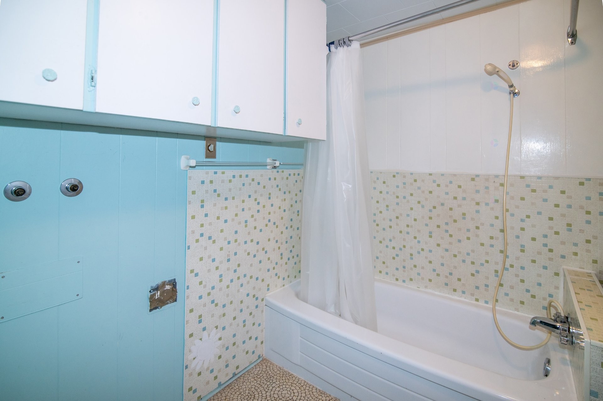 Bathroom - 819 Rue Taché, Saint-Pascal, QC