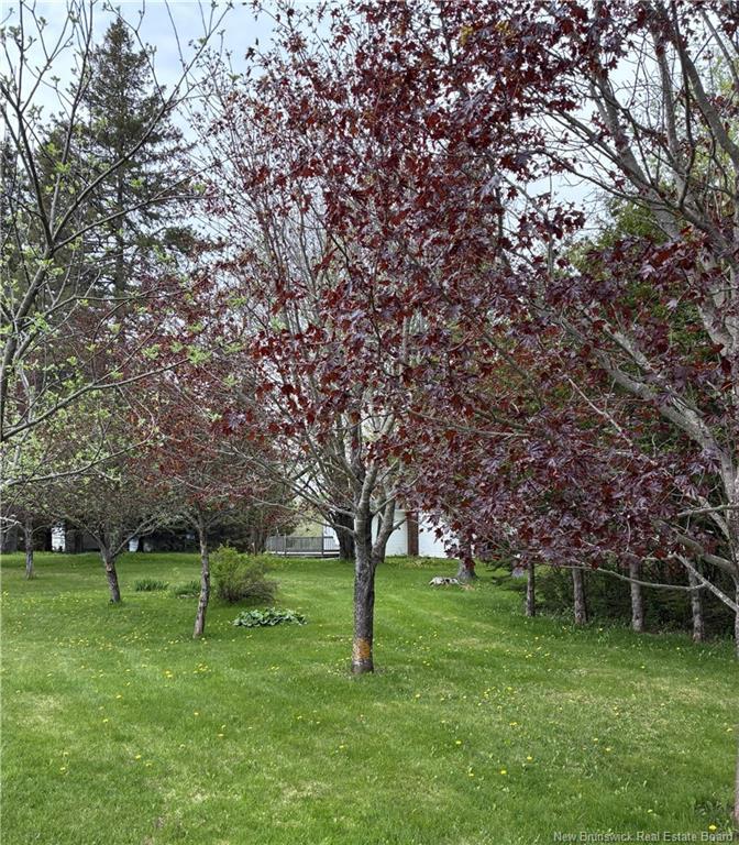 186 Killam Rd, Killams Mills, NB