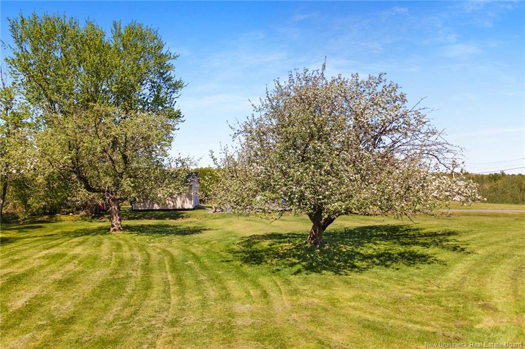 30 Willow Ave, Tracy, NB
