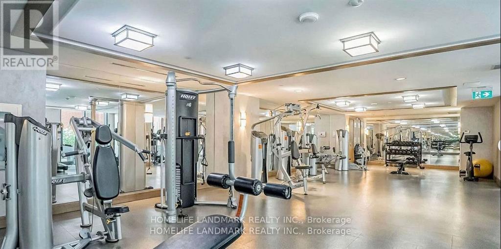 710 - 3091 Dufferin Street, Toronto, ON - Indoor Photo Showing Gym Room